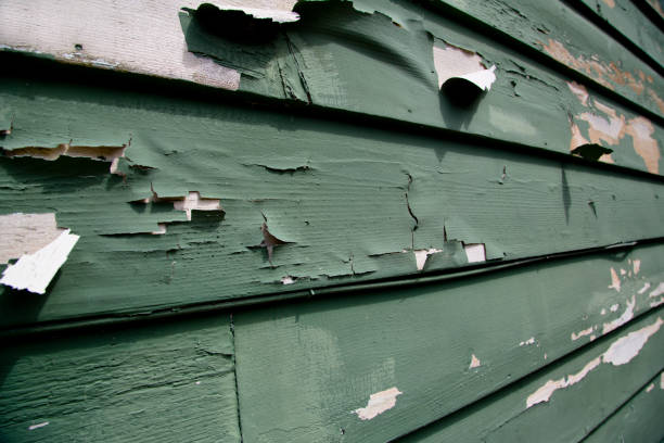 Best Commercial Junk Removal  in Natalbany, LA