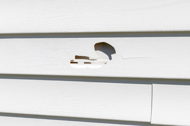 Best Construction Debris Removal  in Natalbany, LA