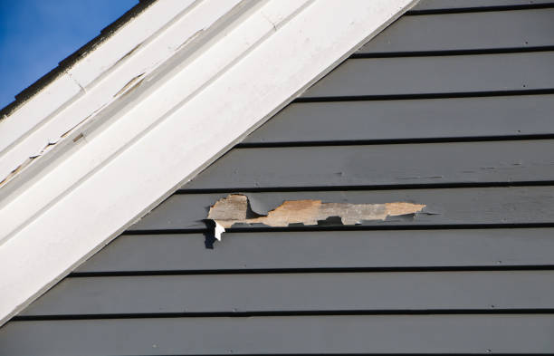 Best Hoarding Cleanup  in Natalbany, LA